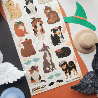 Hat-tastic Pets