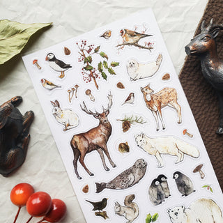 Winter Wildlife Wonders