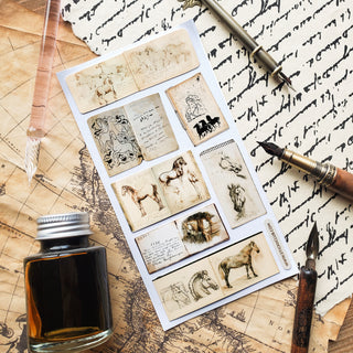 Equine Sketchbooks