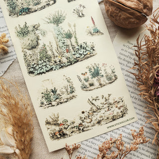 Botanical Garden Sketches