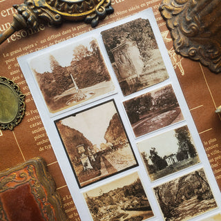 Sepia Garden Snapshots