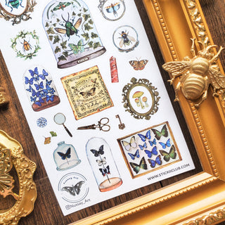 Entomology Collection