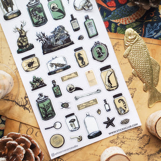 Curious Specimens