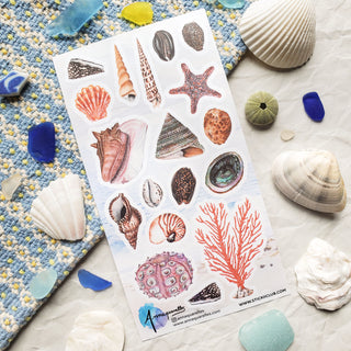June 2026 Vintage Pack: The Siren's Call
