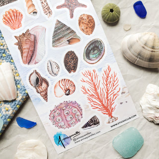 Treasures of the Tide