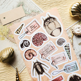 Unearthed Curiosities