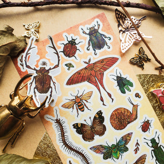 Winged & Wild