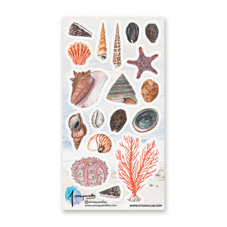 Treasures of the Tide