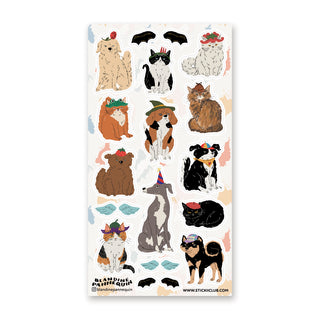 Hat-tastic Pets