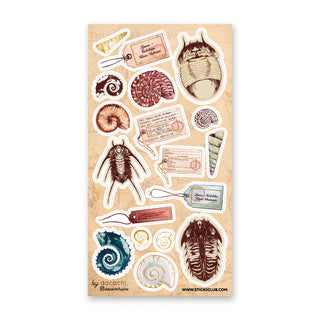 Unearthed Curiosities