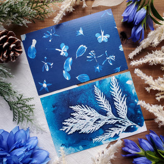 Blue Bloom Postcards