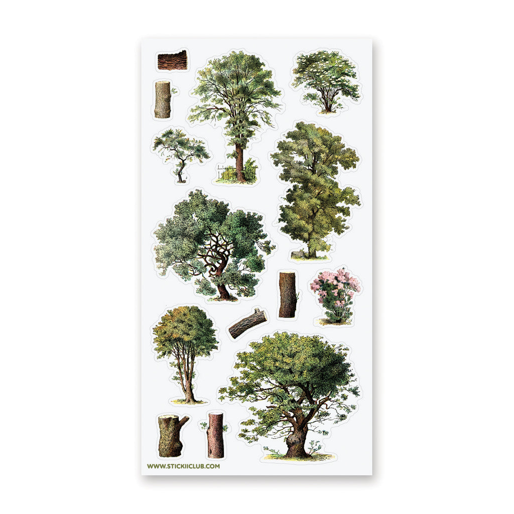 Paper Tree Sticker Ancient Trees Sticker Sheet – STICKII