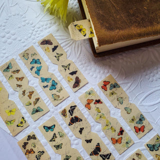 butterfly tabs page bookmarks vintage species variety types sticker sheet