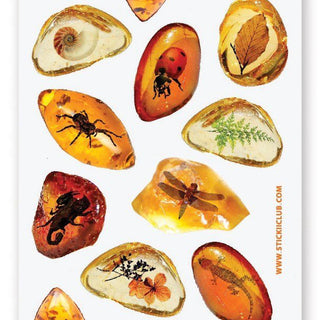 amber bugs and insects sticker sheet