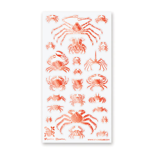 ocean sea animals nature crabs