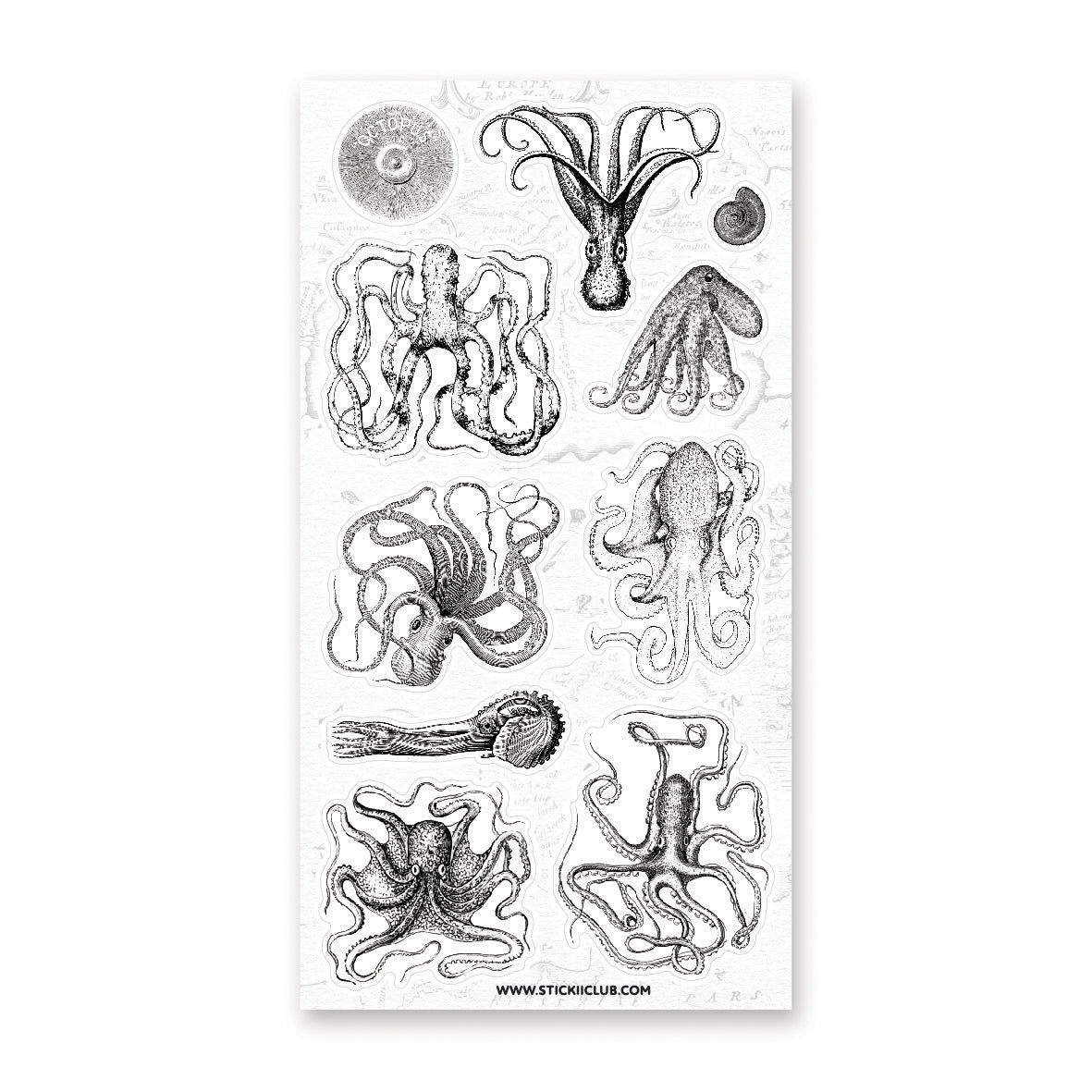 B&W Octopuses Sticker Sheet – STICKII