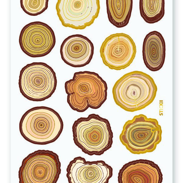 Tree Ring Labels Tree Ring Worksheet Scientists Use Tree Rings To Determine The Age Of
